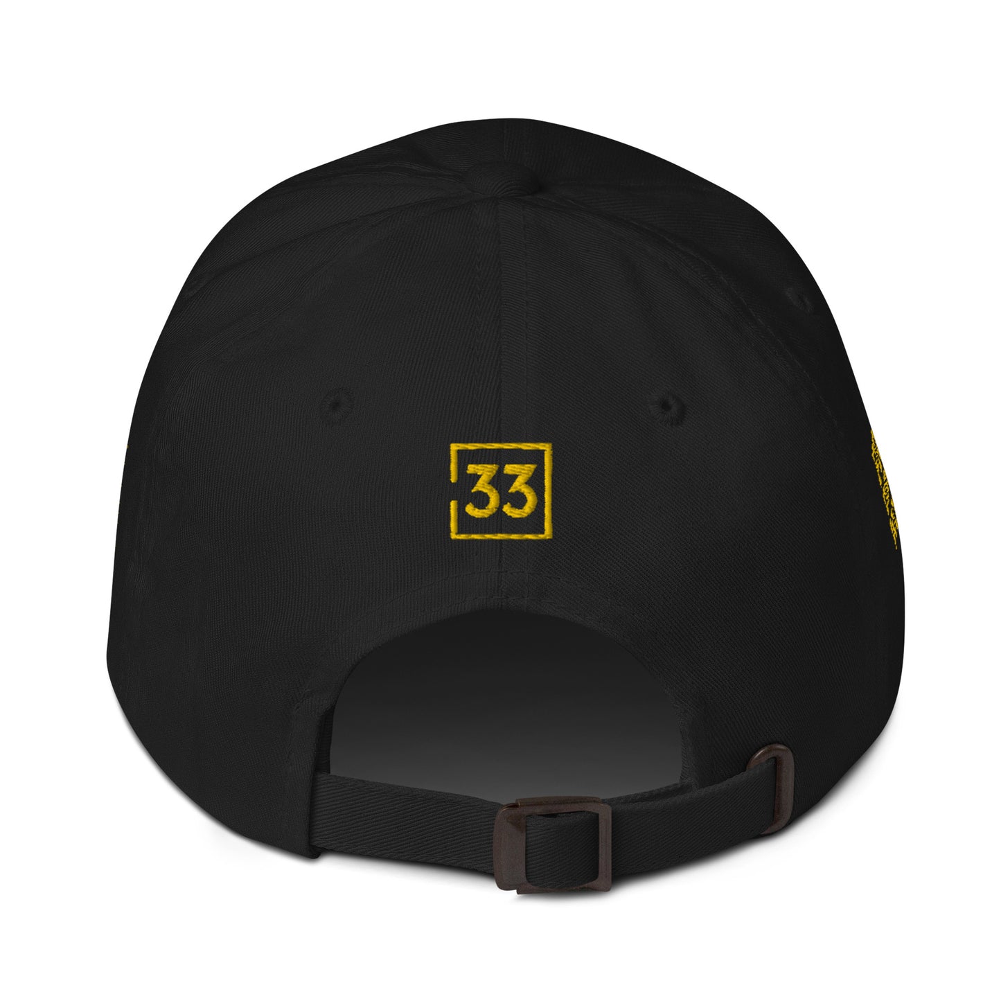 PRO 31 Dad hat
