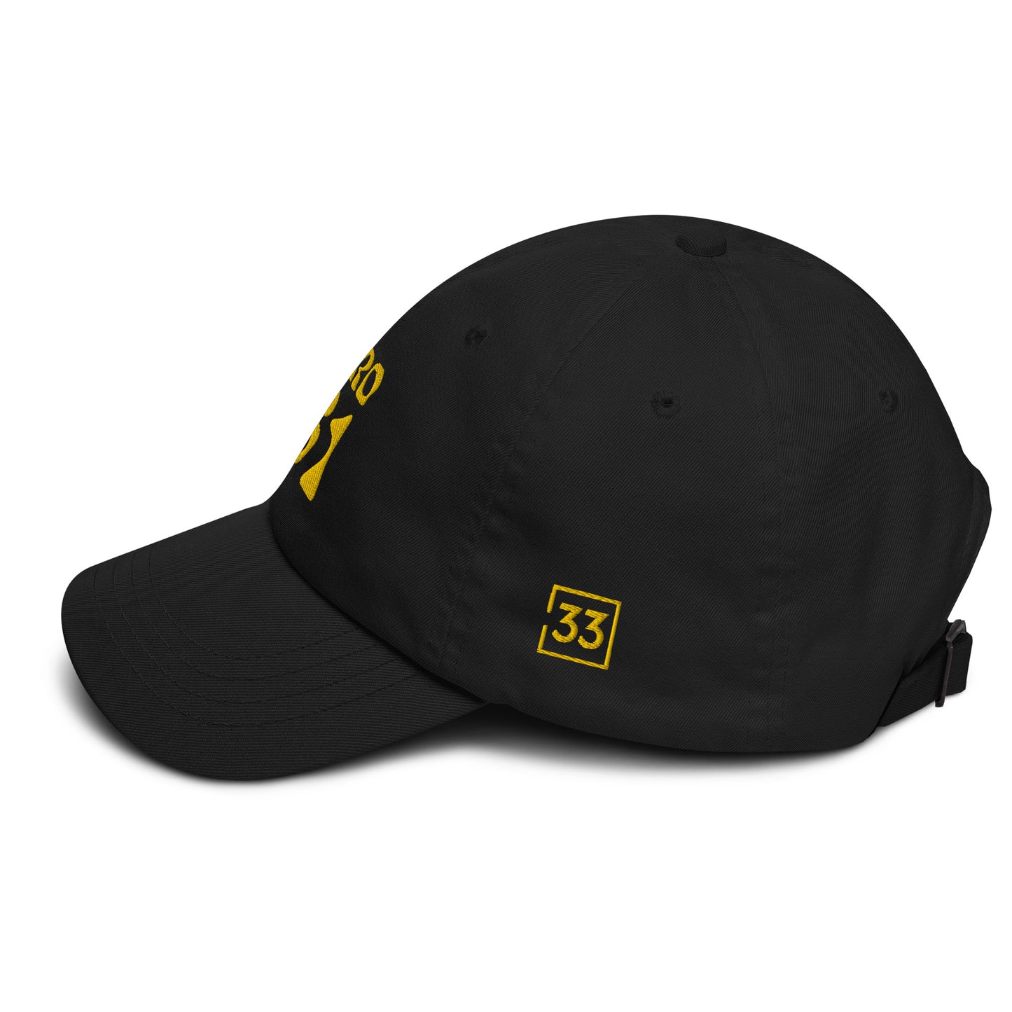 PRO 31 Dad hat