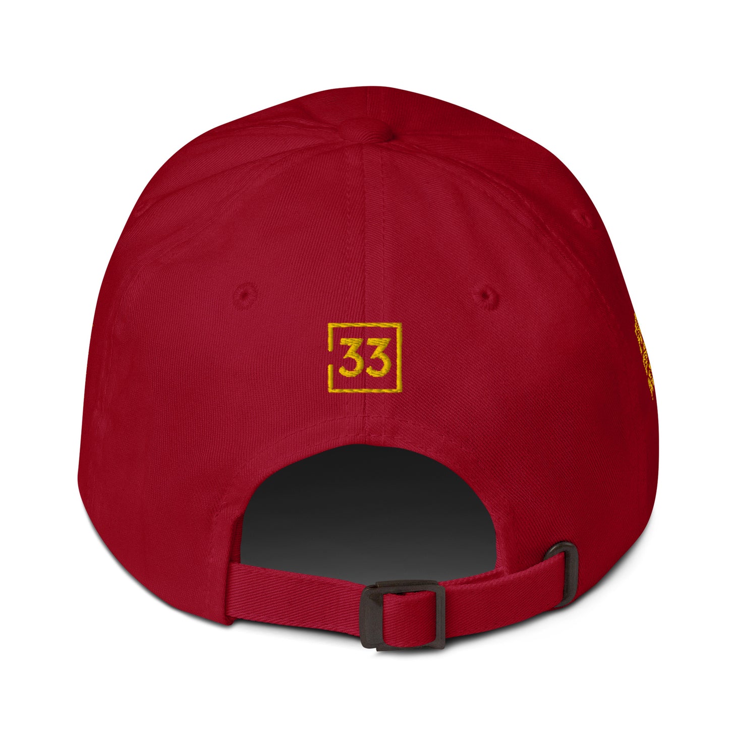 PRO 31 Dad hat