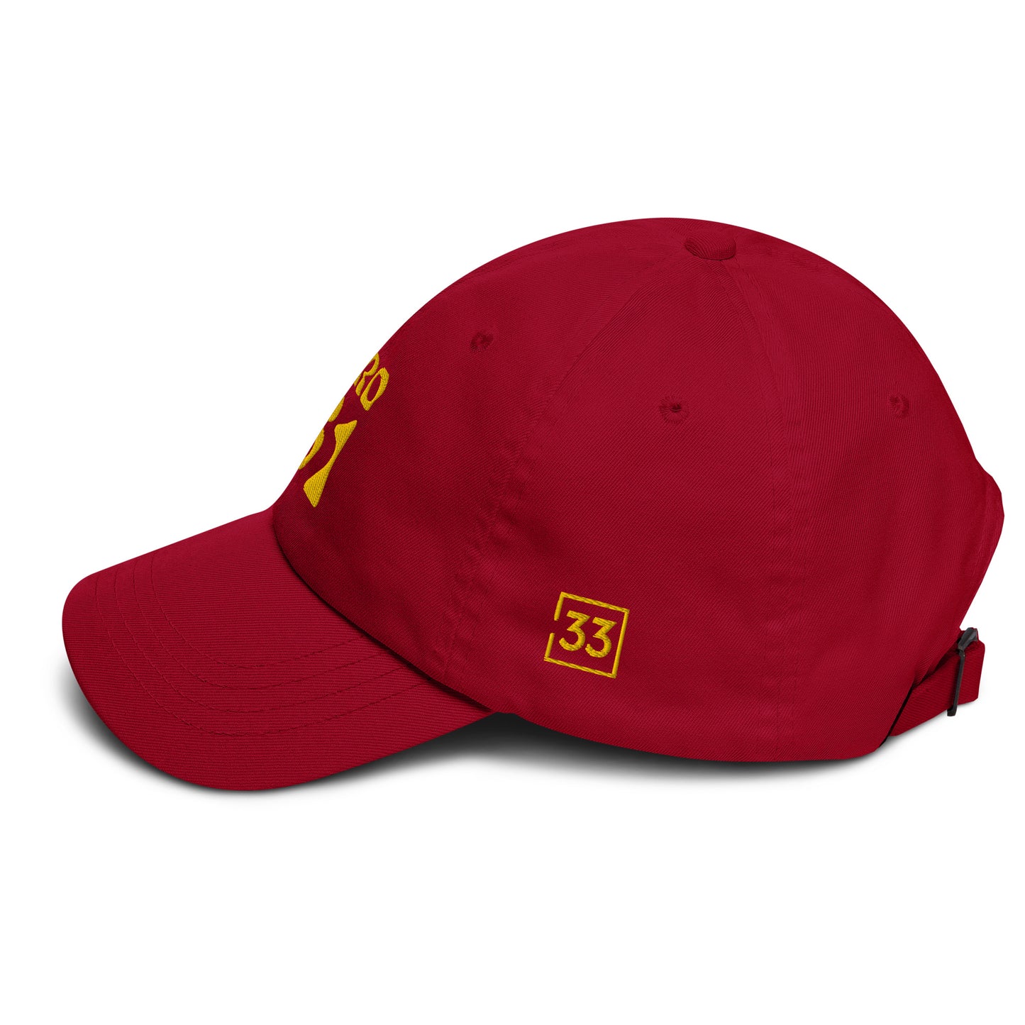 PRO 31 Dad hat