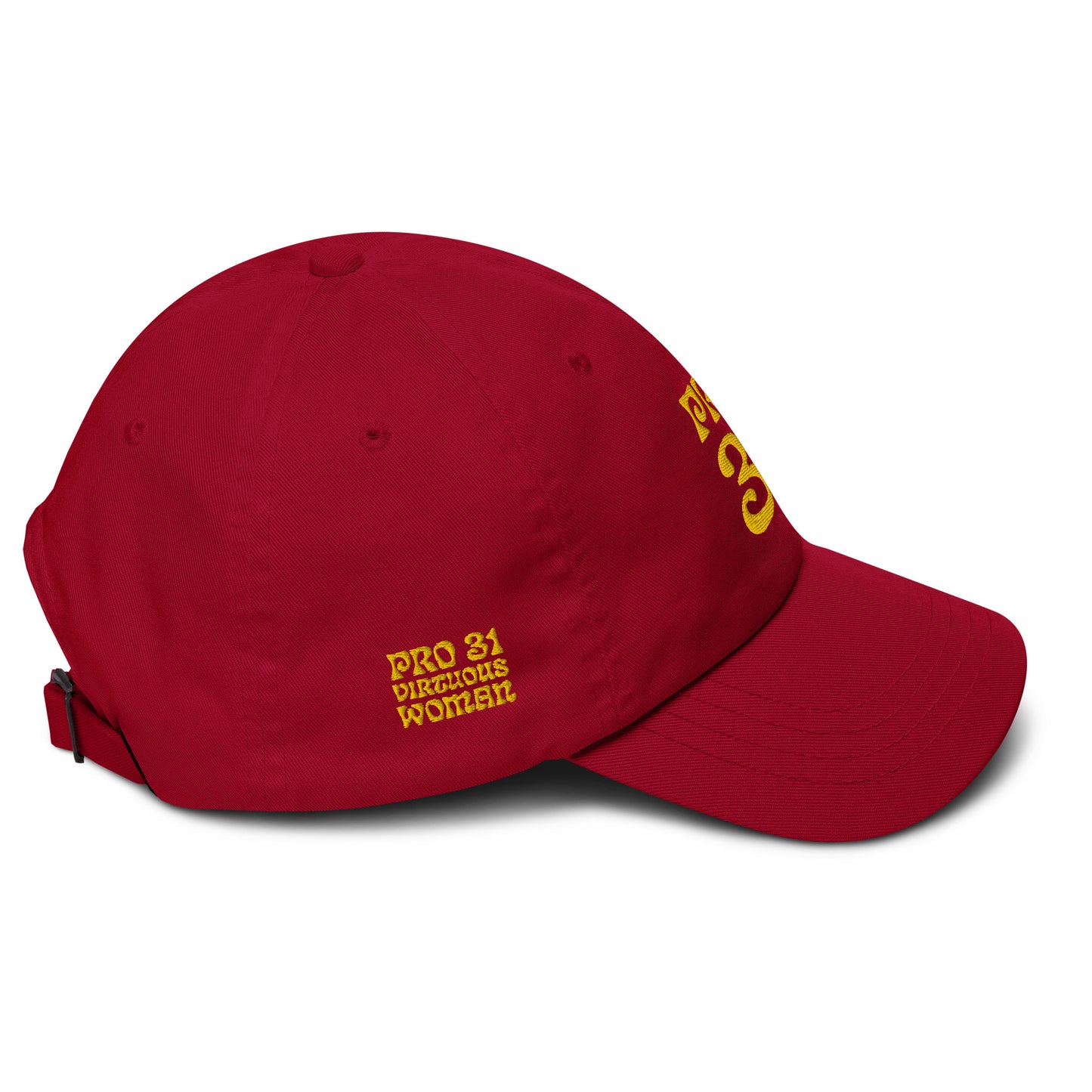PRO 31 Dad hat