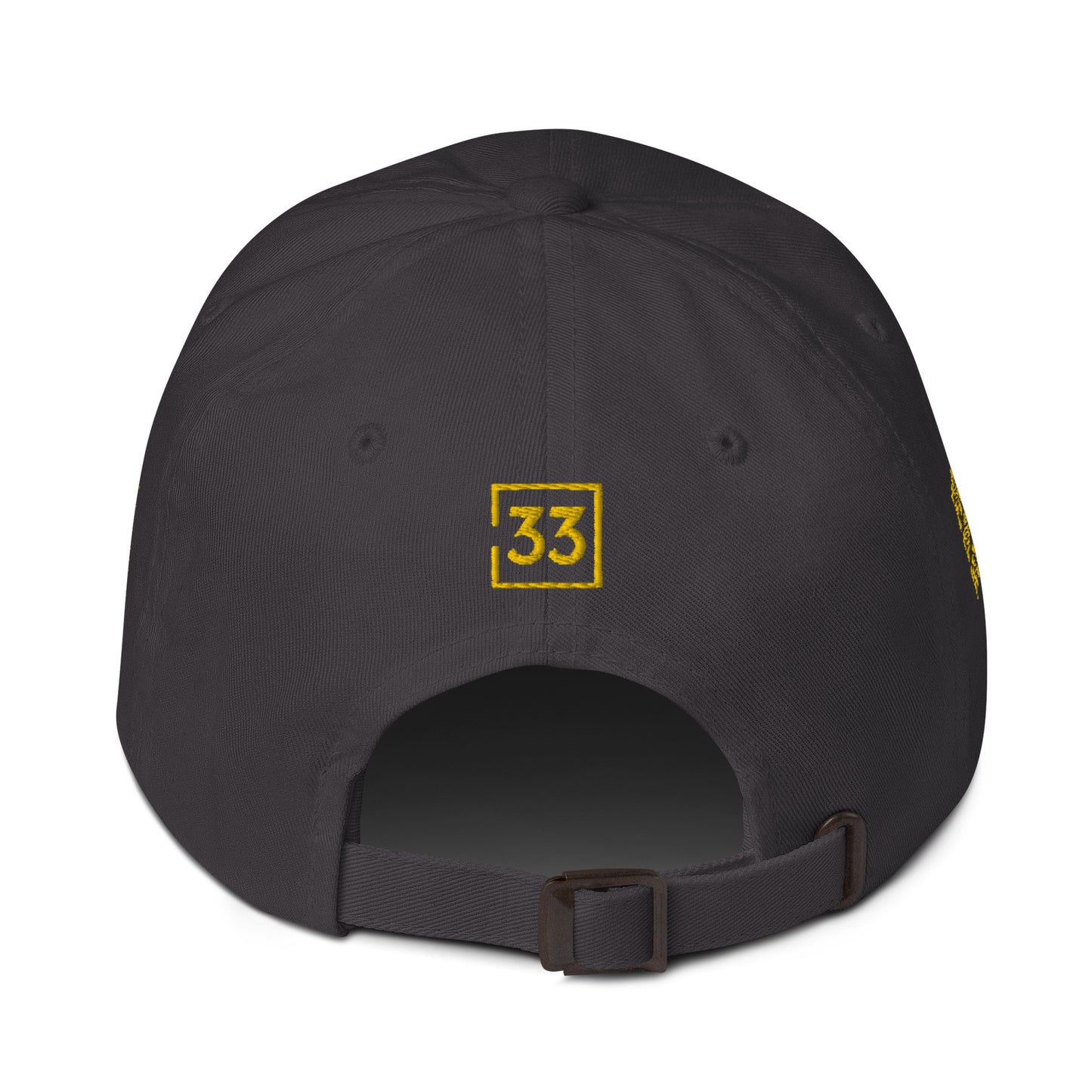 PRO 31 Dad hat