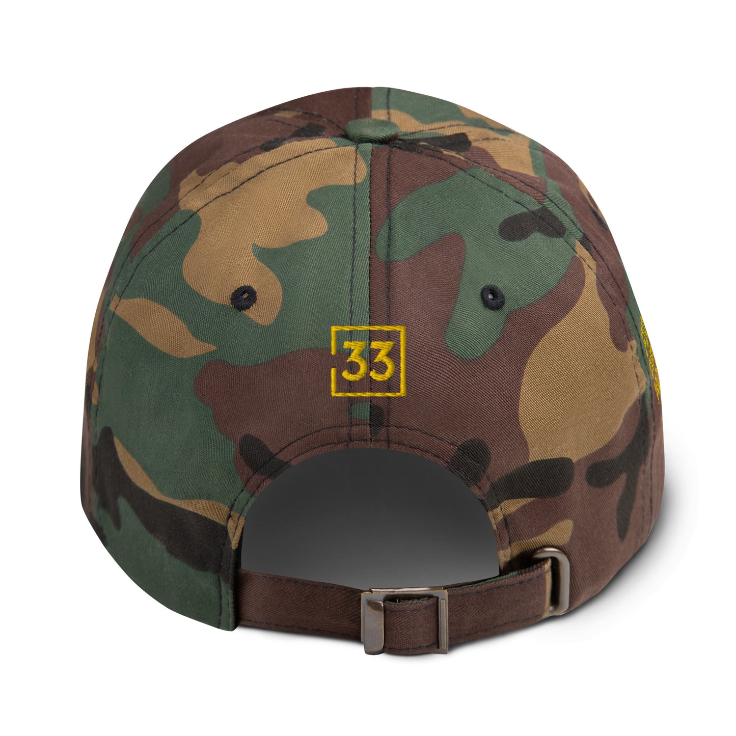PRO 31 Dad hat