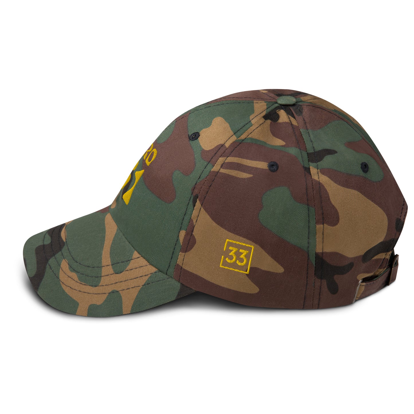 PRO 31 Dad hat