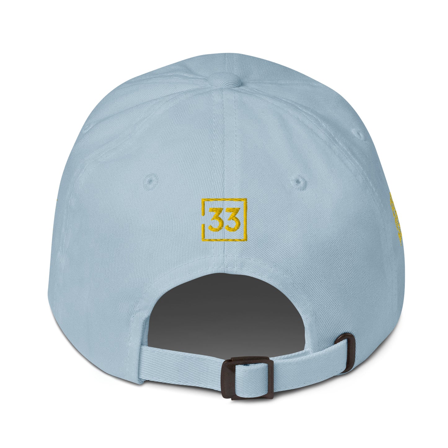 PRO 31 Dad hat
