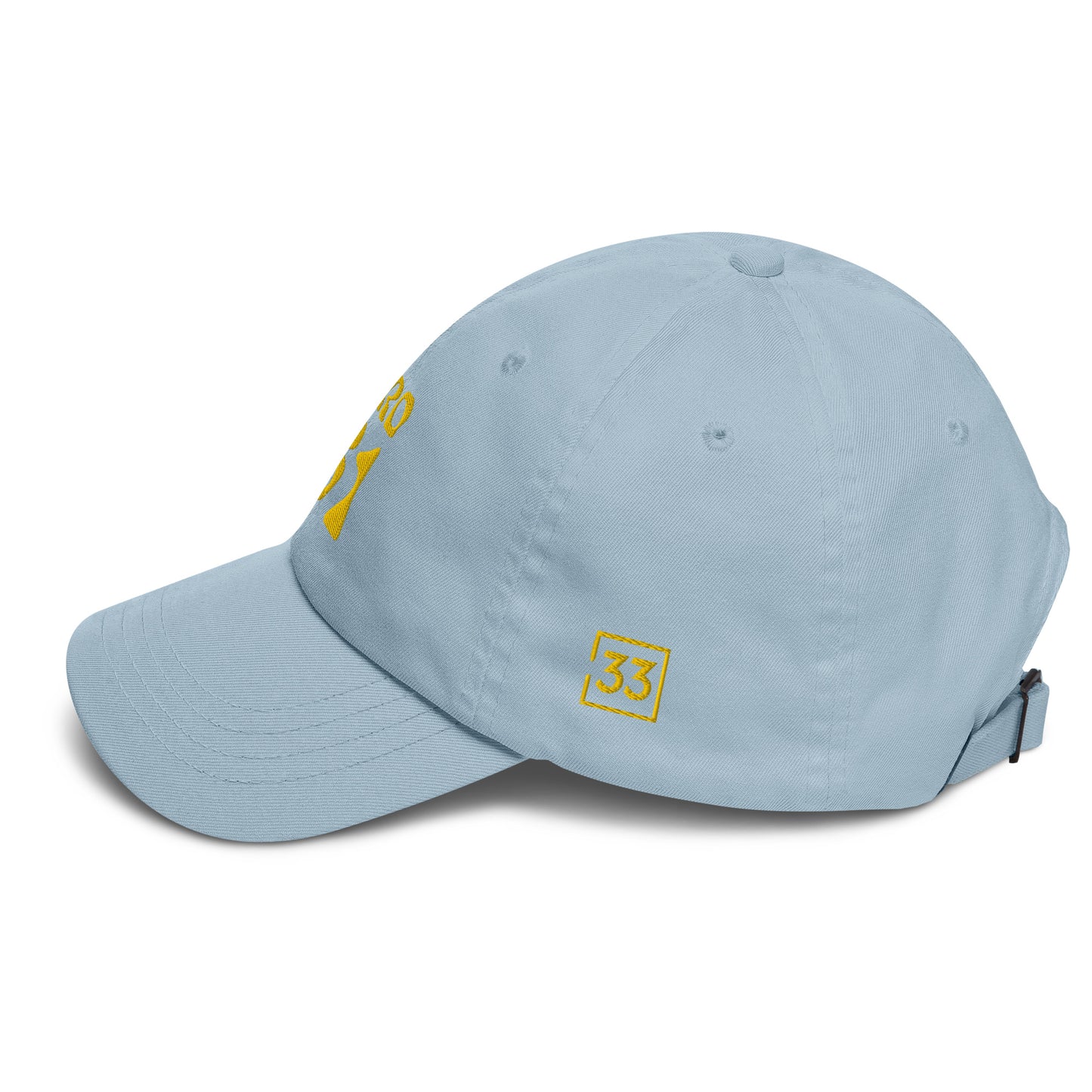 PRO 31 Dad hat