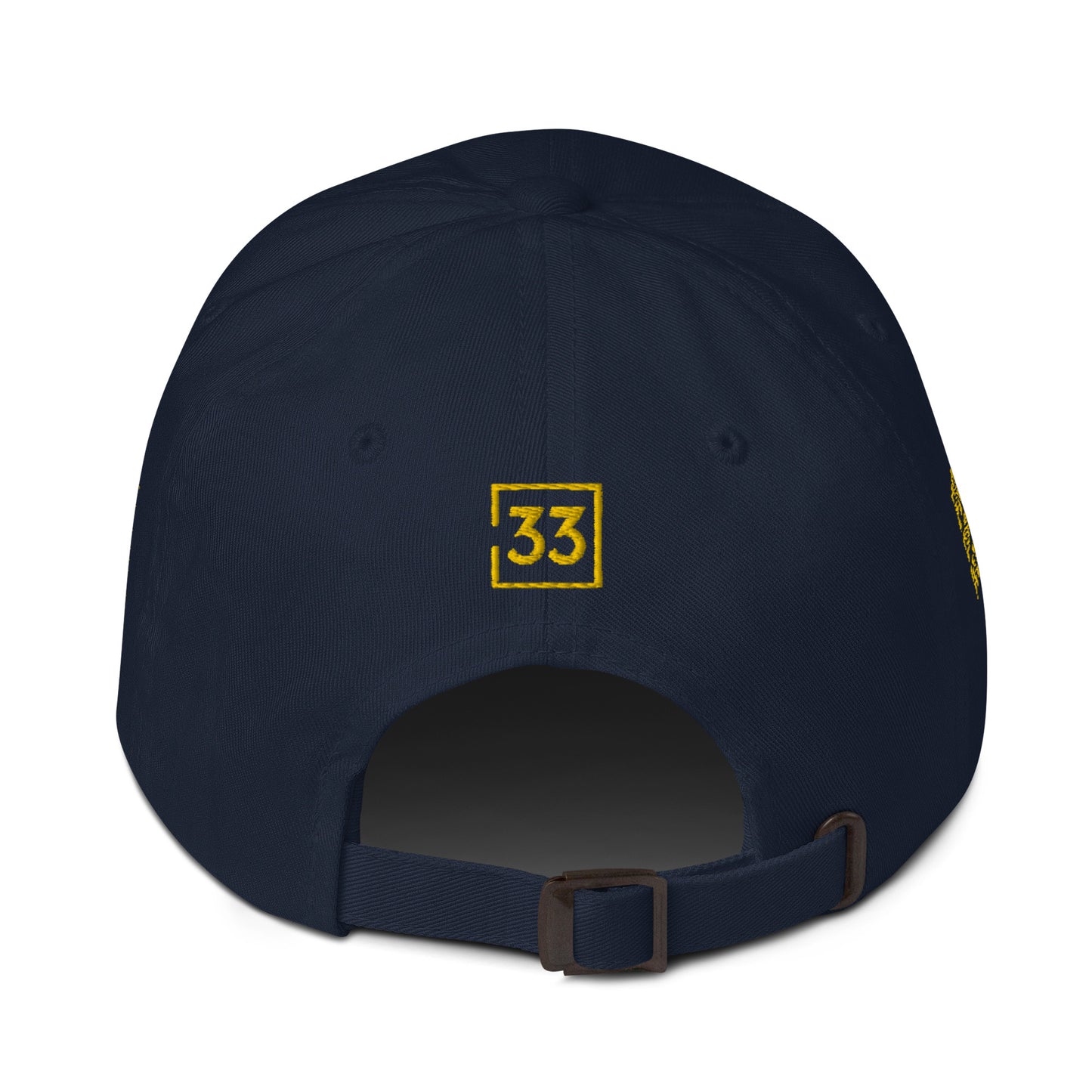 PRO 31 Dad hat