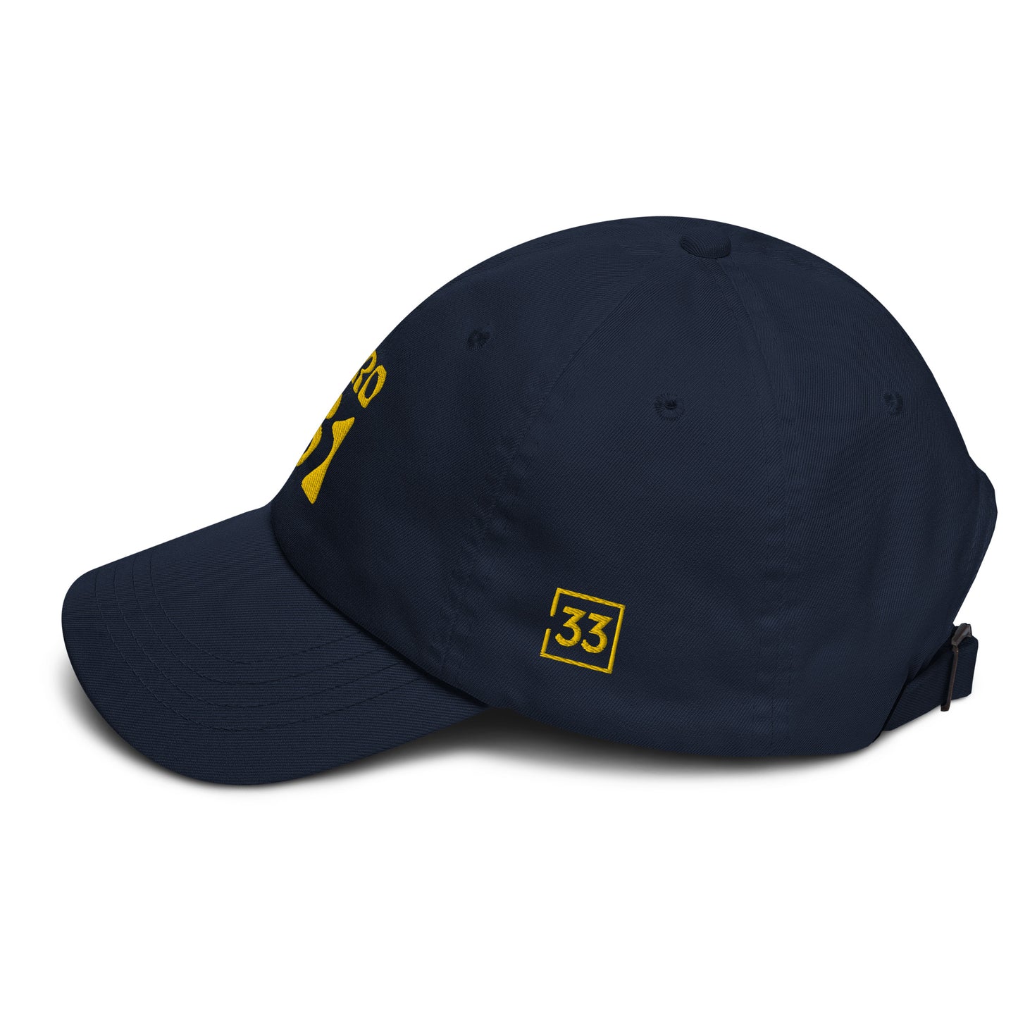 PRO 31 Dad hat