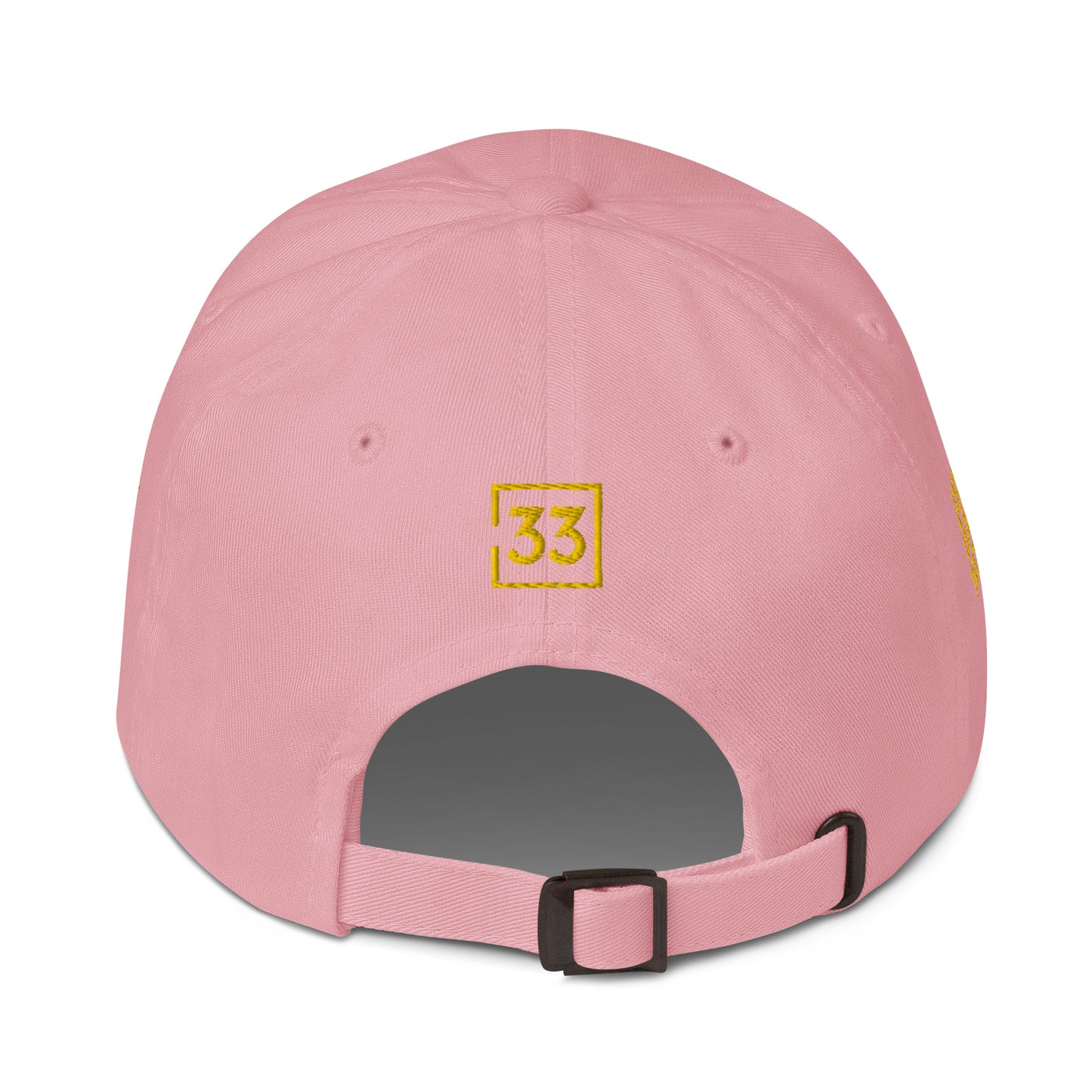 PRO 31 Dad hat