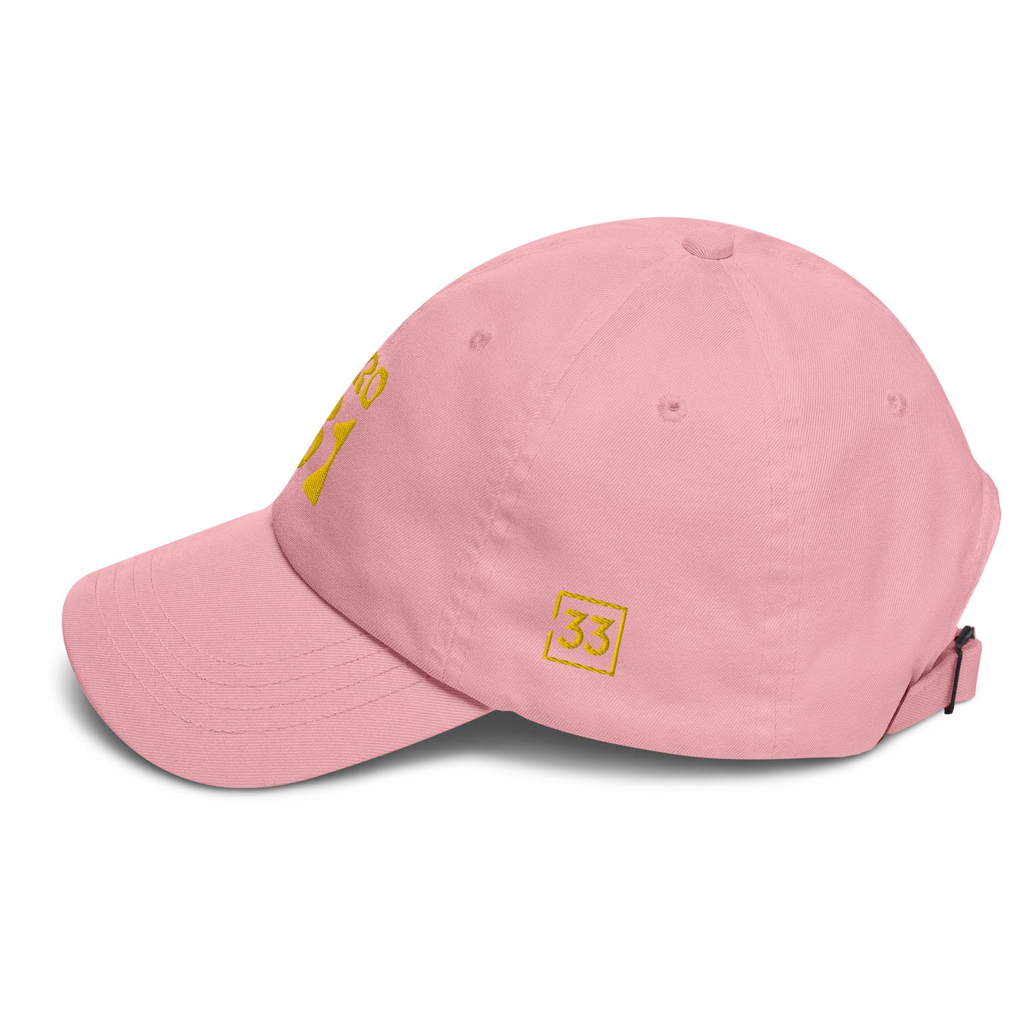 PRO 31 Dad hat