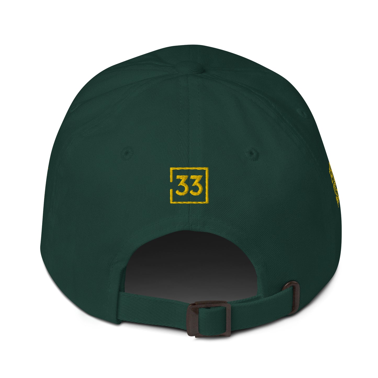 PRO 31 Dad hat