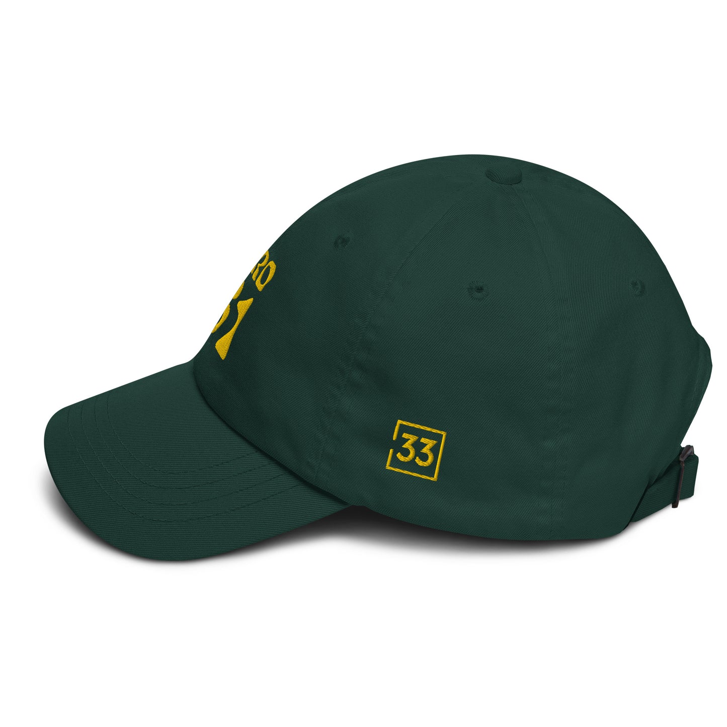 PRO 31 Dad hat