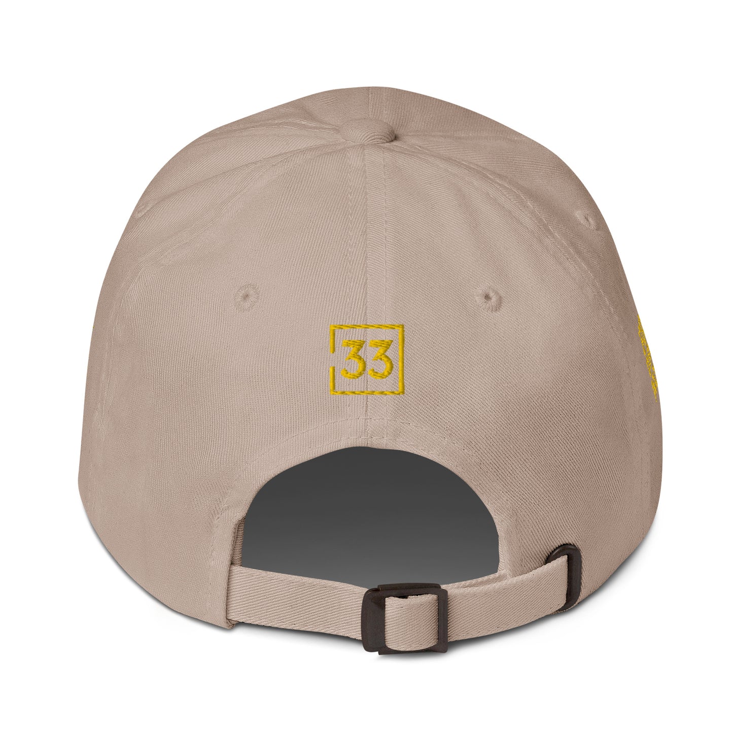 PRO 31 Dad hat
