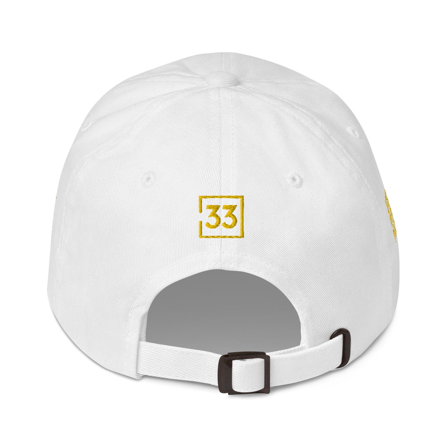 PRO 31 Dad hat