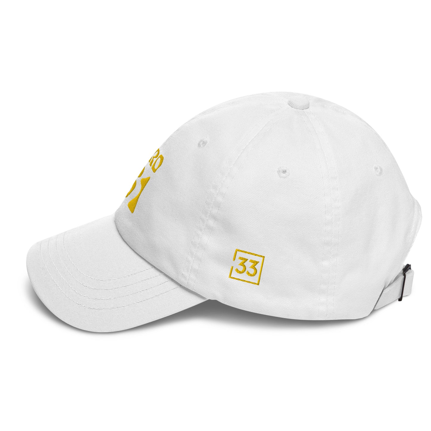 PRO 31 Dad hat