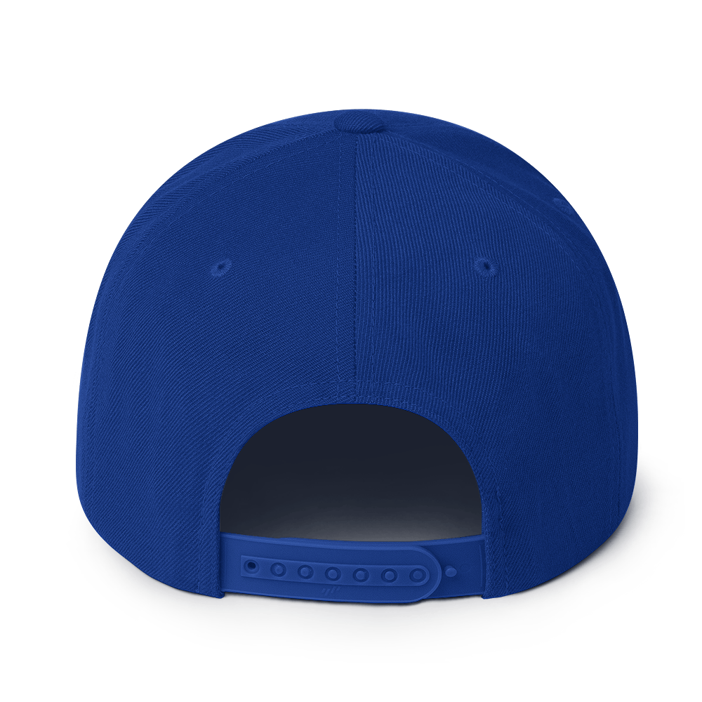 33 Snapback Hat