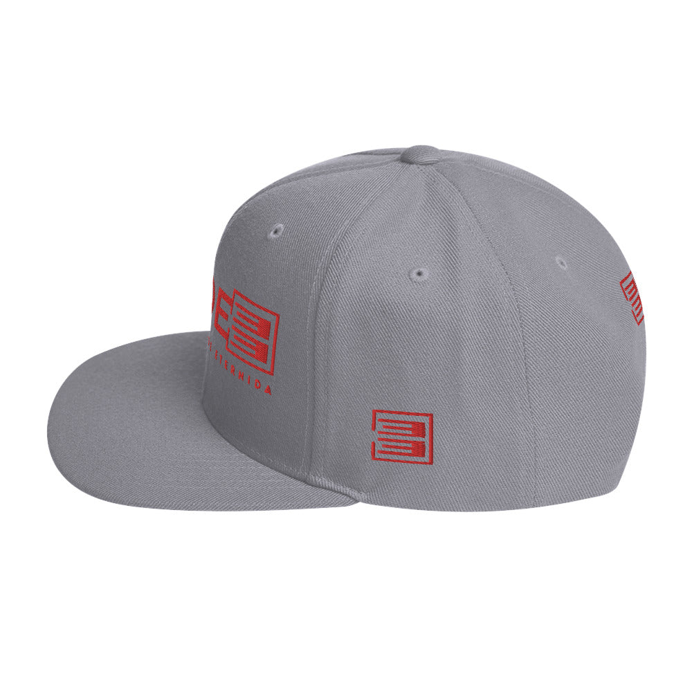 DADE33 Snapback Hat