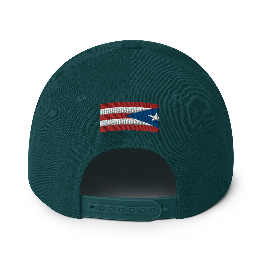 PRAY FOR PR Snapback Hat
