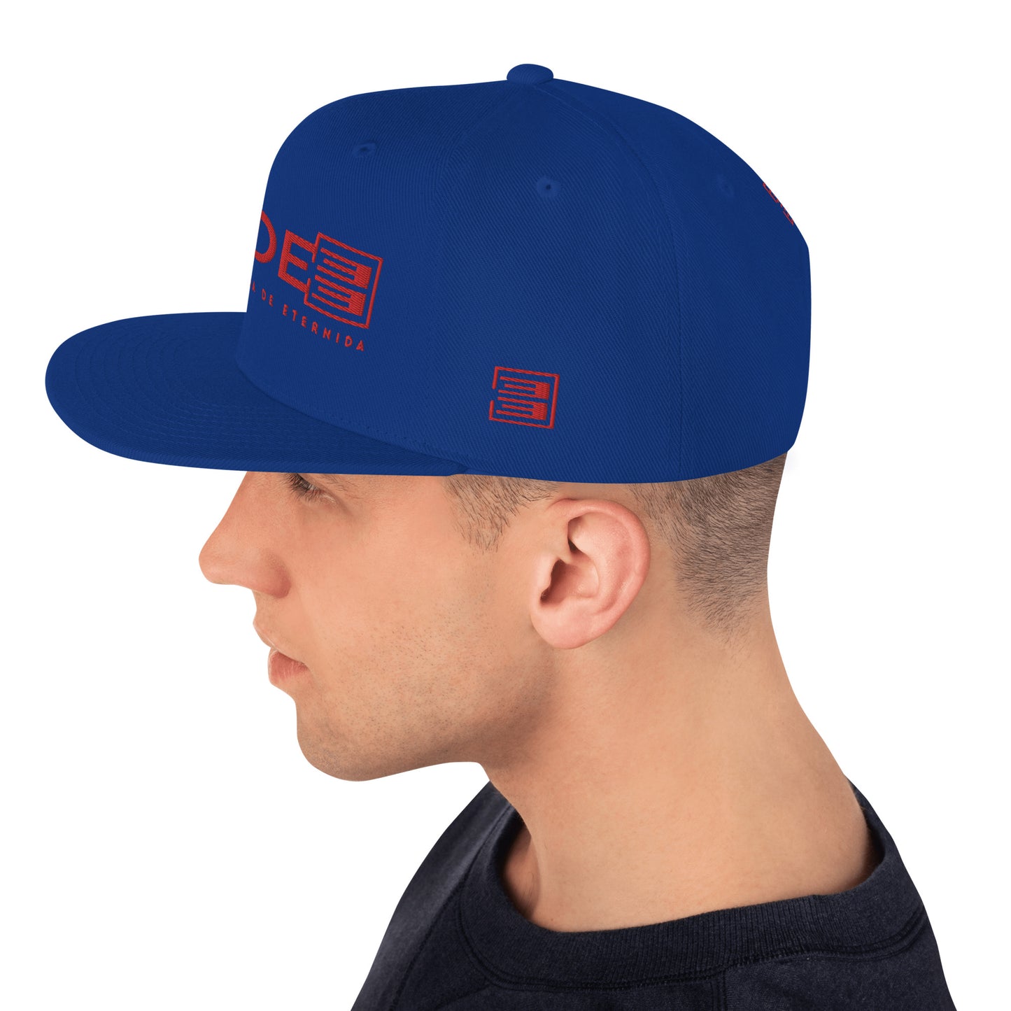 DADE33 Snapback Hat